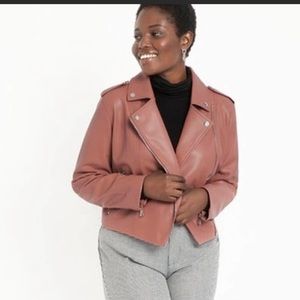 Eloquii Mauve Moto Jacket